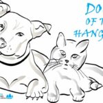 Meet the Dogs of the Hang Seng 2020