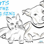 The Cats of the Hang Seng 2020