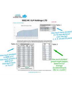 5- What does Dividend History tell you?