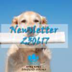 230617 Newsletter