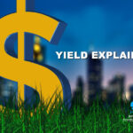 What is dividend yield?